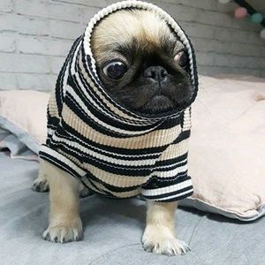 Meet your Posher, Cesar